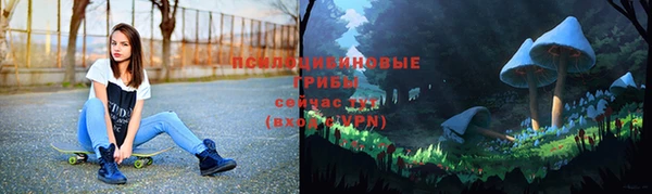 наркотики Алексин