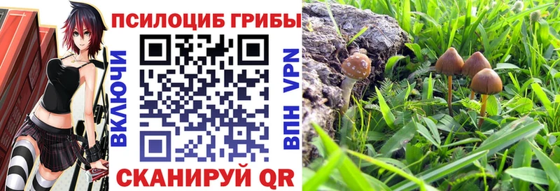 KRAKEN зеркало  Инсар  Псилоцибиновые грибы MAGIC MUSHROOMS 